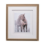 Horse 9 by Chris Dunker a Framed Photo Art Print Matted under Glass by Mercana at Eve Furniture
