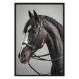 Horse Black Photography 48x72 by Classic Home at Eve Furniture