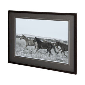 Horse Fort Ranch 14 by Dunker a Framed Photo Art Print Matted under Glass by Mercana at Eve Furniture
