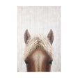 Horse Fringe Painting on Wood by Mercana at Eve Furniture