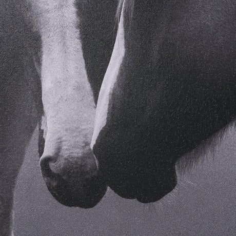 Horse Harmony - Caress by Laura Warren a Hand Embellished Framed Photo Art Print Matted under Glass by Mercana at Eve Furniture