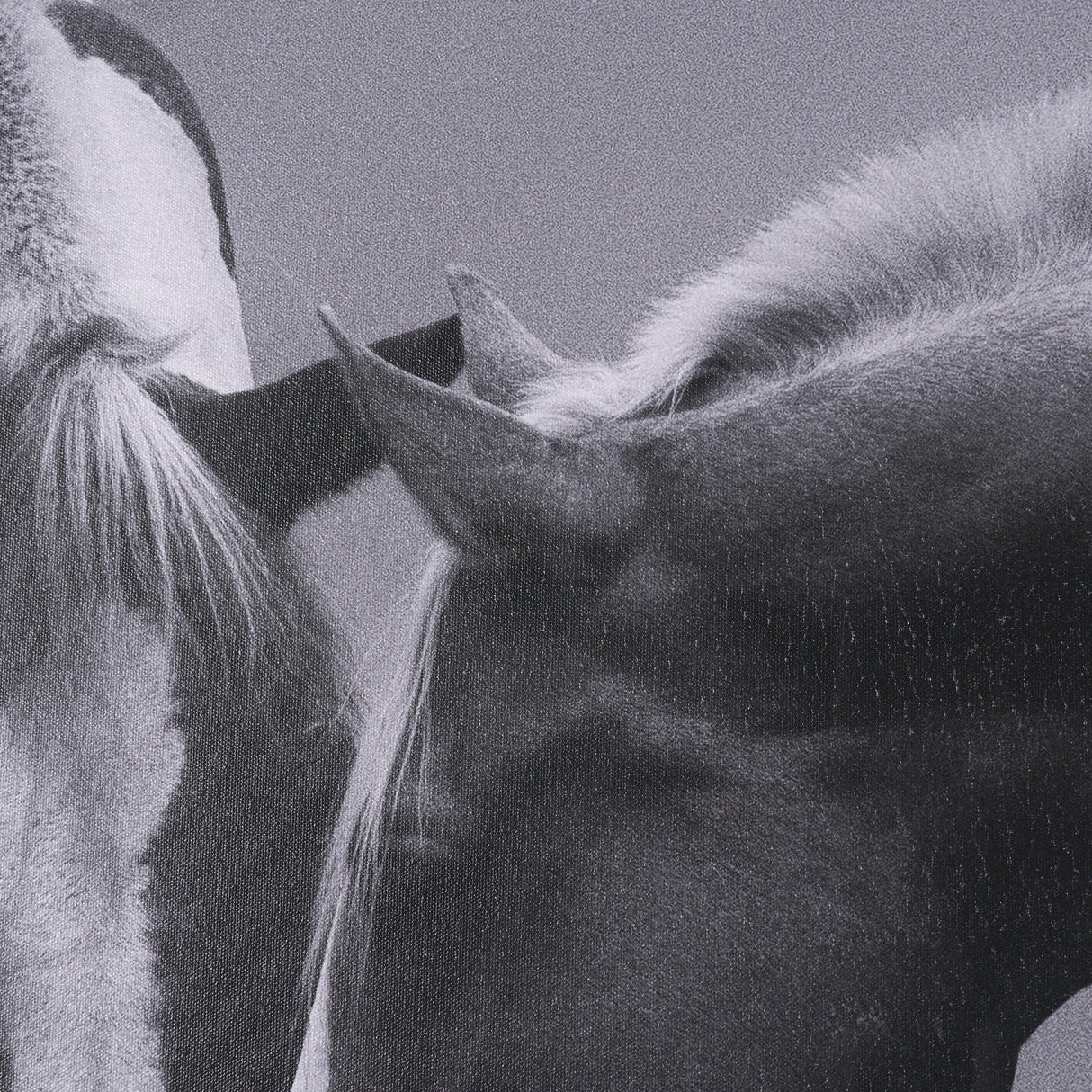Horse Harmony - Caress by Laura Warren a Hand Embellished Framed Photo Art Print Matted under Glass by Mercana at Eve Furniture