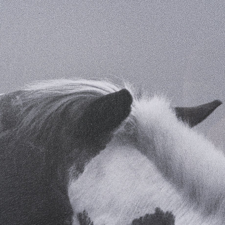 Horse Harmony - Nuzzle by Laura Warren a Hand Embellished Framed Photo Art Print Matted under Glass by Mercana at Eve Furniture