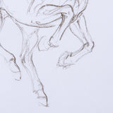 Horse I by Mercana Studio a Hand Embellished Textured Framed Art Print Matted under Glass by Mercana at Eve Furniture