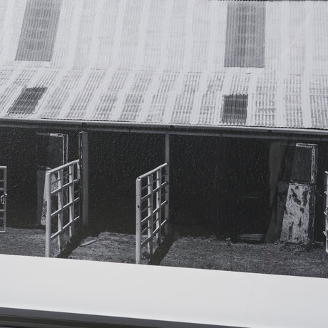 Horse Motel by Bethany Young Textured FramedPhoto Print Matted under Glass by Mercana at Eve Furniture