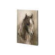 Horse Portrait I by Mercana Studio a Hand Embellished Textured Canvas by Mercana at Eve Furniture