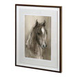 Horse Portrait I by Mercana Studio a Hand Embellished Textured Framed Art Print Matted under Glass by Mercana at Eve Furniture