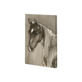 Horse Portrait II by Mercana Studio a Hand Embellished Textured Canvas by Mercana at Eve Furniture