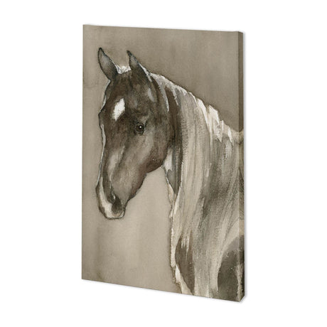Horse Portrait II by Mercana Studio a Hand Embellished Textured Canvas by Mercana at Eve Furniture