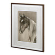 Horse Portrait II by Mercana Studio a Hand Embellished Textured Framed Art Print Matted under Glass by Mercana at Eve Furniture