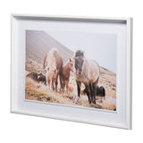 Horses of Hofn I by Laura Marshall a Framed Photo Art Print Matted under Glass by Mercana at Eve Furniture