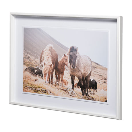 Horses of Hofn I by Laura Marshall a Framed Photo Art Print Matted under Glass by Mercana at Eve Furniture