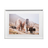 Horses of Hofn I by Laura Marshall a Framed Photo Art Print Matted under Glass by Mercana at Eve Furniture