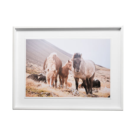 Horses of Hofn I by Laura Marshall a Framed Photo Art Print Matted under Glass by Mercana at Eve Furniture