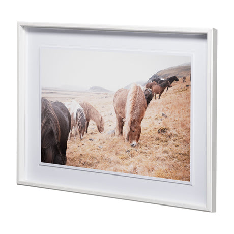 Horses of Hofn II by Laura Marshall a Framed Photo Art Print Matted under Glass by Mercana at Eve Furniture