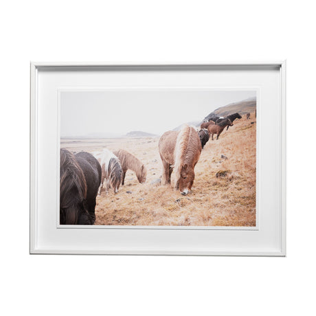 Horses of Hofn II by Laura Marshall a Framed Photo Art Print Matted under Glass by Mercana at Eve Furniture