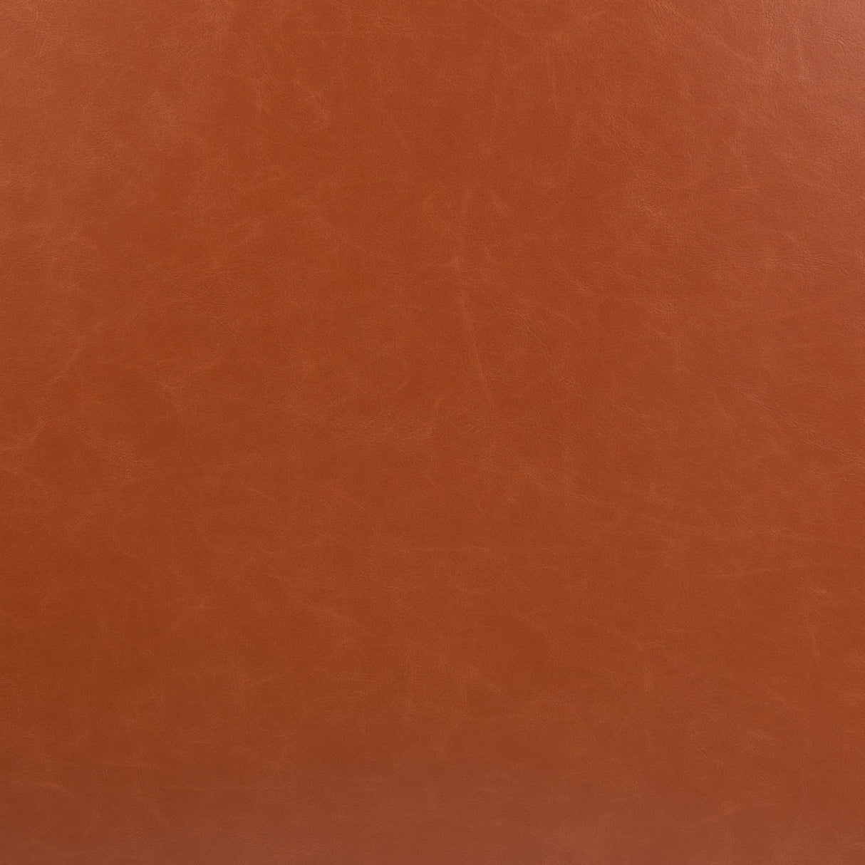 Horten Brown Accent Chair by Zuomod at Eve Furniture