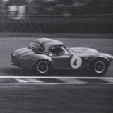Hot on the Tail by Ben Wood a Hand Embellished Framed Photo Art Print Matted under Glass by Mercana at Eve Furniture