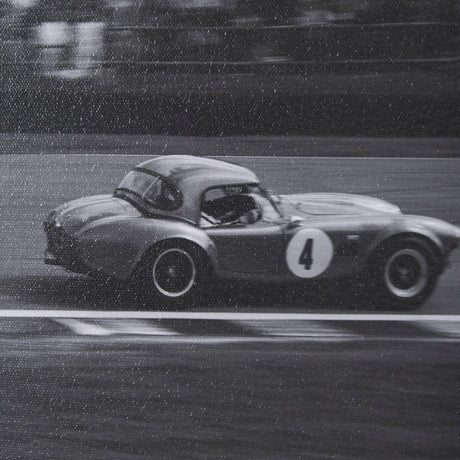 Hot on the Tail by Ben Wood a Hand Embellished Framed Photo Art Print Matted under Glass by Mercana at Eve Furniture