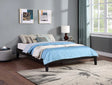 Hounslow Black Platform Queen Bed by Coaster at Eve Furniture