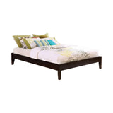 Hounslow Cappuccino Queen Universal Platform Bed by Coaster at Eve Furniture