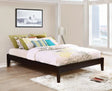 Hounslow Cappuccino Queen Universal Platform Bed by Coaster at Eve Furniture