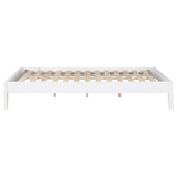 Hounslow White Platform Queen Bed by Coaster at Eve Furniture