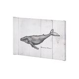 Humpback Whale by Mercana Studio a Hand Embellished Textured Canvas by Mercana at Eve Furniture