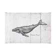 Humpback Whale by Mercana Studio a Hand Embellished Textured Canvas by Mercana at Eve Furniture