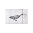 Humpback Whale by Mercana Studio a Hand Embellished Textured Canvas by Mercana at Eve Furniture