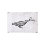 Humpback Whale by Mercana Studio a Hand Embellished Textured Canvas by Mercana at Eve Furniture