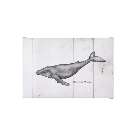 Humpback Whale by Mercana Studio a Hand Embellished Textured Canvas by Mercana at Eve Furniture