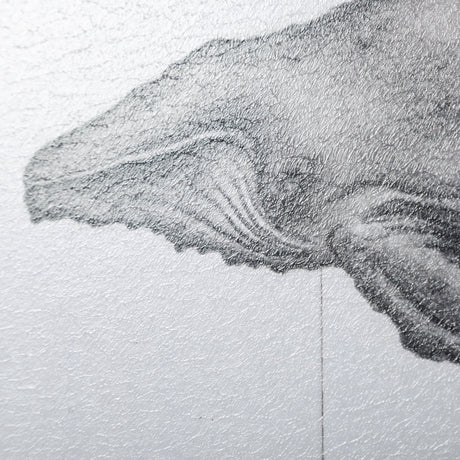 Humpback Whale by Mercana Studio a Hand Embellished Textured Framed Art Print by Mercana at Eve Furniture