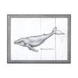Humpback Whale by Mercana Studio a Hand Embellished Textured Framed Art Print by Mercana at Eve Furniture