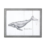 Humpback Whale by Mercana Studio a Hand Embellished Textured Framed Art Print by Mercana at Eve Furniture