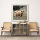 Humphry by Assaf Frank a Framed Photo Art Print Matted under Glass by Mercana at Eve Furniture