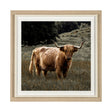 Humphry by Assaf Frank a Framed Photo Art Print Matted under Glass by Mercana at Eve Furniture