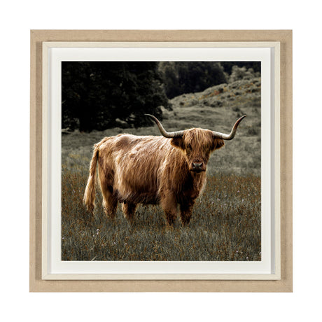 Humphry by Assaf Frank a Framed Photo Art Print Matted under Glass by Mercana at Eve Furniture