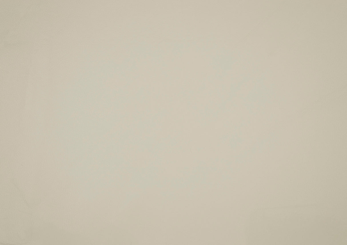 Huron Beige Power Double Reclining Living Room Set by Homelegance at Eve Furniture