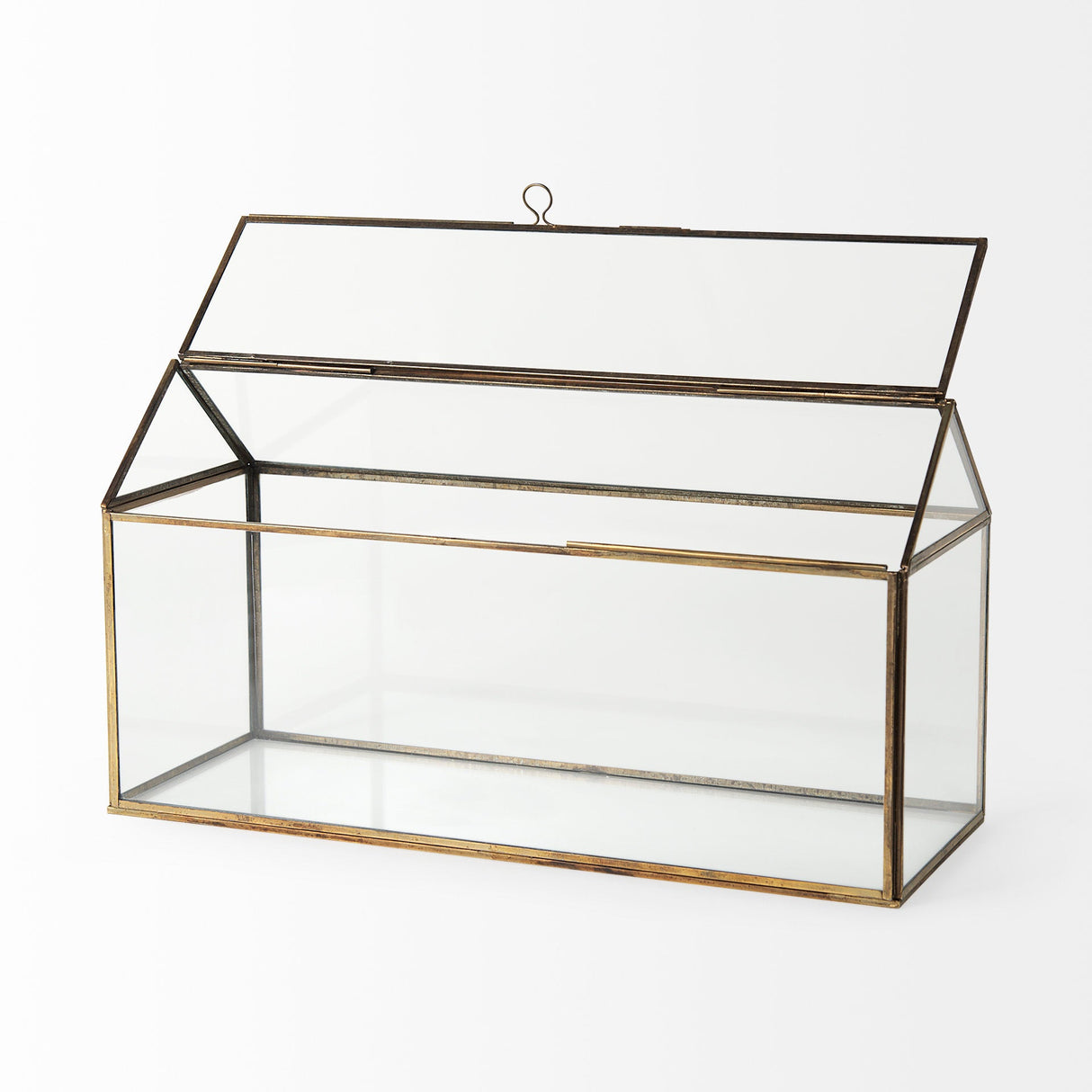 Hutt Gold Glass Terrarium Box by Mercana at Eve Furniture