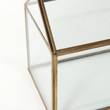 Hutt Gold Glass Terrarium Box by Mercana at Eve Furniture
