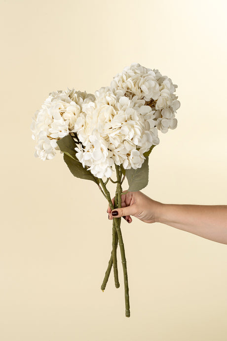 Hydrangea Floral Stem, White, Set of 24 by Mercana at Eve Furniture