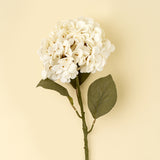 Hydrangea Floral Stem, White, Set of 24 by Mercana at Eve Furniture