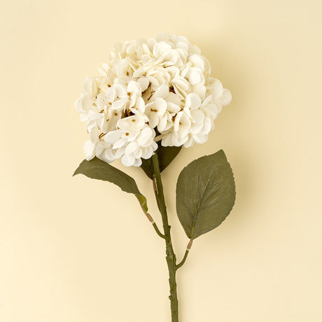 Hydrangea Floral Stem, White, Set of 24 by Mercana at Eve Furniture