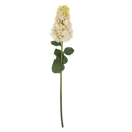 Hydrangea Paniculata Stem, Set of 12 by Mercana at Eve Furniture