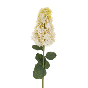 Hydrangea Paniculata Stem, Set of 12 by Mercana at Eve Furniture