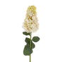 Hydrangea Paniculata Stem, Set of 12 by Mercana at Eve Furniture