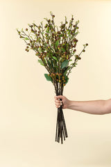 Hypericum Berry Spray, Set of 36 by Mercana at Eve Furniture
