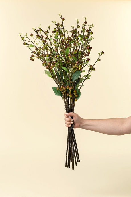 Hypericum Berry Spray, Set of 36 by Mercana at Eve Furniture