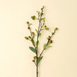 Hypericum Berry Spray, Set of 36 by Mercana at Eve Furniture